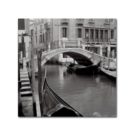 Trademark Fine Art Alan Blaustein 'Venezia III' Canvas Art, 14x14 ALI5119-C1414GG